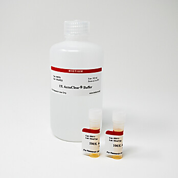AccuClear® uLtra High Sensitivity dsDNA Quantitation Solution