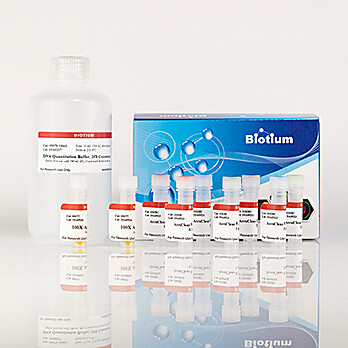 AccuClear® uLtra High Sensitivity dsDNA Quantitation Kit with DNA Standards