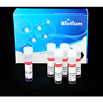 Fast EvaGreen® Master Mix for qPCR