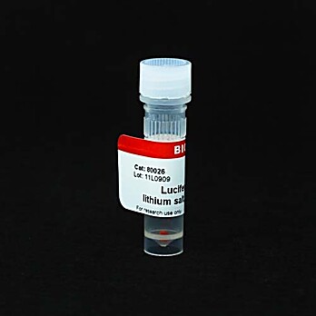 Lucifer Yellow CH Lithium Salt, 100 mM in Water 100uL
