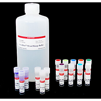 AccuBlue® Broad Range dsDNA Quantitation Kit 