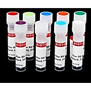 AccuBlue® Broad Range dsDNA Quantitation Standards