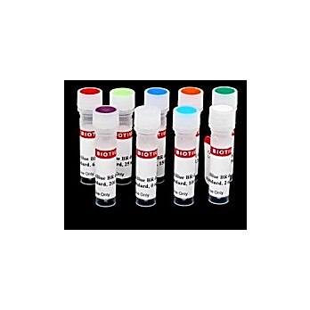 AccuBlue® Broad Range dsDNA Quantitation Standards