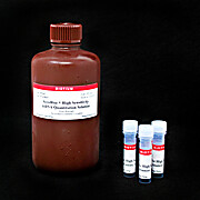AccuBlue® High Sensitivity dsDNA Quantitation Solution