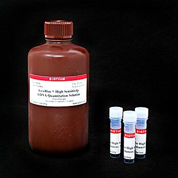 AccuBlue® High Sensitivity dsDNA Quantitation Solution 