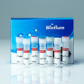 CF®750 F(ab')2 fragment of Goat Anti-Rabbit IgG (H+L)
