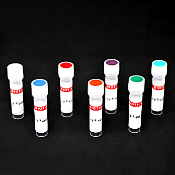 CF®594 Donkey Anti-Chicken IgY (IgG) (H+L), Highly Cross-Adsorbed