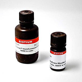 PathoGreen Histofluorescent Stain, 1000X in Water