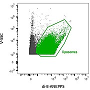DI-8-ANEPPS 5mg