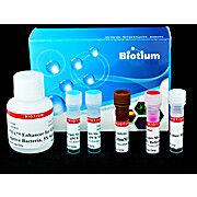 PMA Real-Time PCR Bacterial Viability Kit - Salmonella enterica (invA)