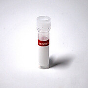 AccuClear® dsDNA Standard