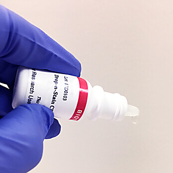 Drop-n-Stain™ CF® Donkey Anti-Mouse IgG (H+L)