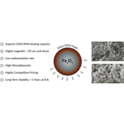 PuroMAG Silica Magnetic Bead