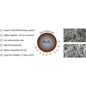 PuroMAG Silica Magnetic Bead