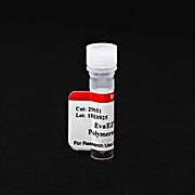 EvaEZ™ Fluorometric DNA Polymerase Activity Assay (200 reactions) 1mL