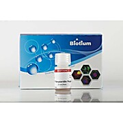 ExoBrite™ Streptavidin Magnetic Beads 5mL