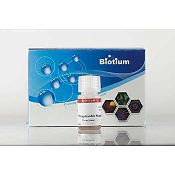 ExoBrite™ Streptavidin Magnetic Beads 5mL