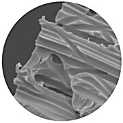 Polycarbonate (PCTE) Membrane Filters, 293MM