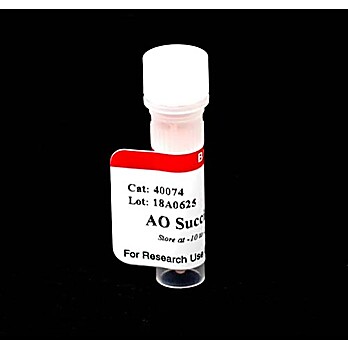 AO Succinimidyl Ester 5mg