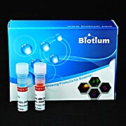 NucView® 488 and MitoView™ 633 Apoptosis Assay Kit (100 assays)