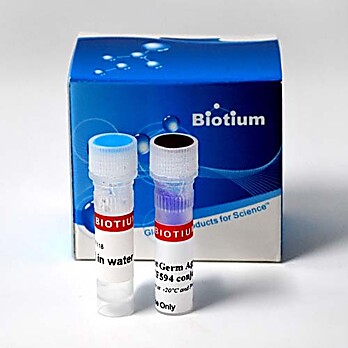 Live Bacterial Gram Stain Kit 