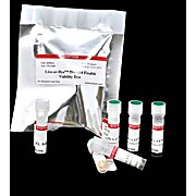 Yeast Viability Staining Kit