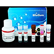 PMA Real-Time PCR Bacterial Viability Kit - E. coli (uidA)