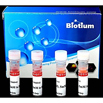 Viability/Cytotoxicity Assay kit for Bacteria Live and Dead Cells 