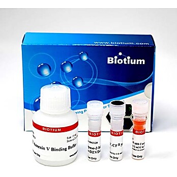 Dual Apoptosis Assay with NucView® 488 Caspase-3 Substrate and CF®640R-Annexin V (50 assays) 
