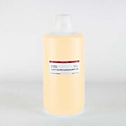 Go-Go™ Fast DNA Gel Running Buffer, 50X