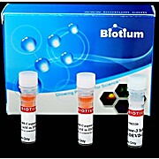 NucView® 488 Caspase 3 Assay Kit