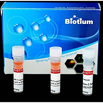 NucView® 488 Caspase 3 Assay Kit 