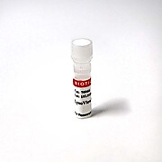 LysoView™ 594, 1000X in DMSO