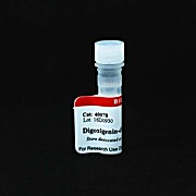 Digoxigenin-dUTP, Alkali Stable 25 nmol
