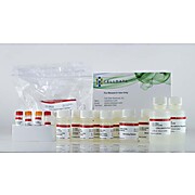 CELLDATA DNAstorm™/RNAstorm™ 2.0 Combination Kit, 50 preps