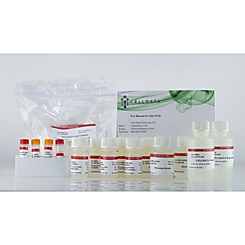CELLDATA DNAstorm™/RNAstorm™ 2.0 Combination Kit, 50 preps 