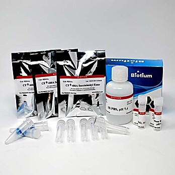 Biotin Protein Labeling Kit