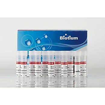 ViaFluor® 488 SE Cell Proliferation Kit 