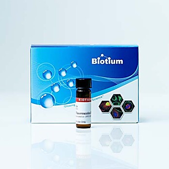 Fluorescein Biotin 5mg