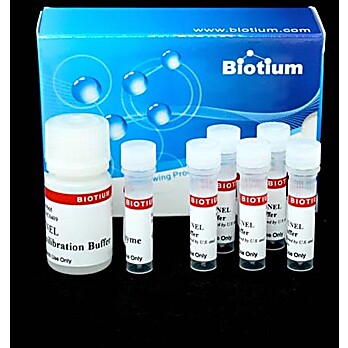 TUNEL Assay Apoptosis Detection Kit