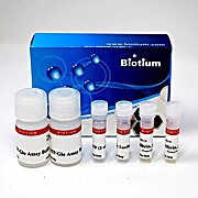 ATP-Glo™ Bioluminometric Cell Viability Assay Kit
