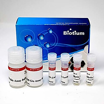 ATP-Glo™ Bioluminometric Cell Viability Assay Kit