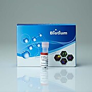 GelGreen® Nucleic Acid Gel Stain, 10,000X in Water