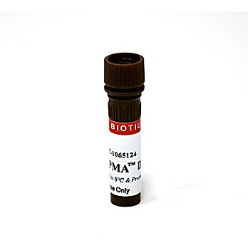 PMA  1mg