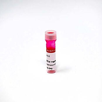 DiI in vegetable oil 500uL