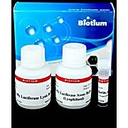 Firefly Luciferase Assay Kit