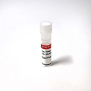Light-on LysoView™ 555
