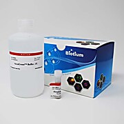 Accugreen™ High Sensitivity dsDNA Quantitation Solution
