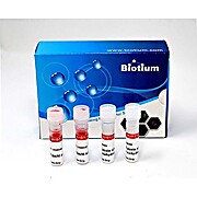 Viability/Cytotoxity Assay Kit for Animal Live & Dead Cells