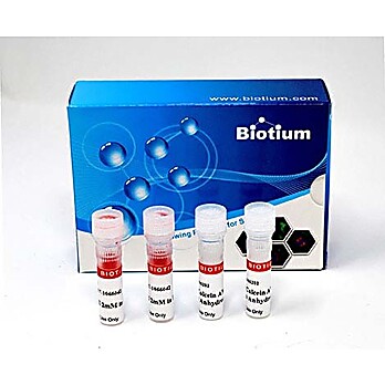 Viability/Cytotoxity Assay Kit for Animal Live & Dead Cells